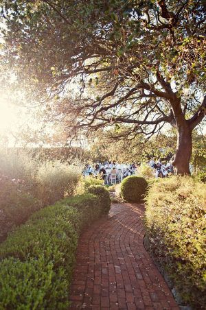 Bay Area Wedding at Landmark Art and Garden Center from Captured By Aimee Landmarks Art, Bay Area Wedding, Garden Set, Lush Garden, Al Fresco Dining, Garden Center, Wedding Bells, Bay Area, Wedding Inspo