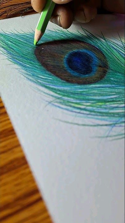 Drawing Peacock Feathers, How To Draw Peacock Feathers, Peacock Feathers Drawing, Peacock Feathers Painting, Peacock Krishna, Peacock Drawing With Colour, Peacock Feather Drawing, Drawing With Pencil, Peacock Drawing