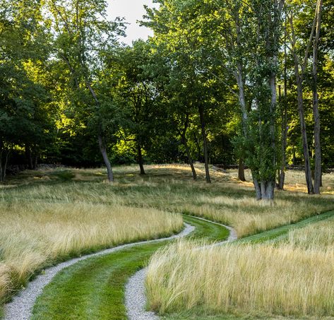 Ribbon Driveway, Driveway Entrance Landscaping, Farmhouse Landscaping, Walking Paths, The Grove, The Barn, The Ranch, Outdoor Design, Dream Garden