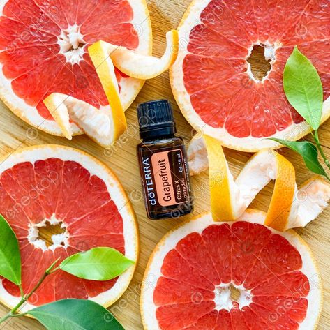 Doterra Grapefruit, Increase Motivation, Fennel Oil, Slim And Sassy, Grapefruit Diet, Essential Oils Guide, Grapefruit Oil, Vanilla Essential Oil, Grapefruit Essential Oil