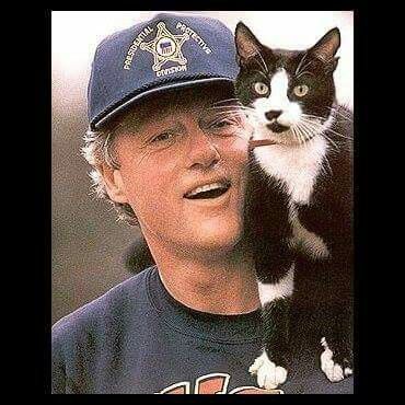 The Prez Paparazzi Photography, Celebrities With Cats, Men With Cats, Burmilla, Cornish Rex, Cat Socks, Tuxedo Cat, Bill Clinton, Photos Vintage