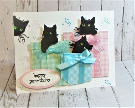 Crazy Cats Cards, Cat Cards Handmade, Project Paper, Paper Crafting Projects, Cat Birthday Card, Creative Birthday, Dog Cards, Fold Cards, Embossed Cards