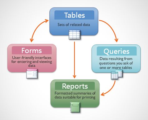 Access 2016: Introduction to Objects Accounting Notes, Learn Sql, Ms Access, Microsoft Access, Access Database, Data Form, Free Online Learning, Learn Computer Science, Data Modeling