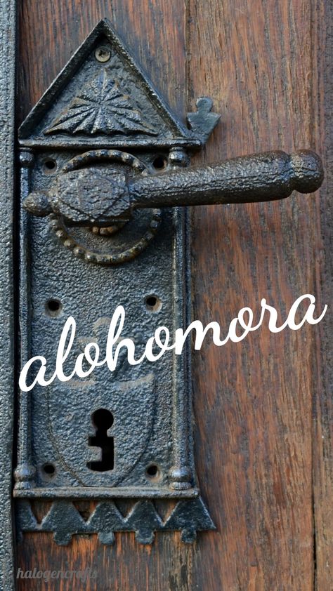 Alohomora Lock Screen, Folding Screen Diy, Screened In Porch Furniture, Screen Printing Frame, Screened In Porch Diy, Screen Time For Kids, Wooden Screen Door, Harry Potter Cartoon, Tv Entertainment Centers