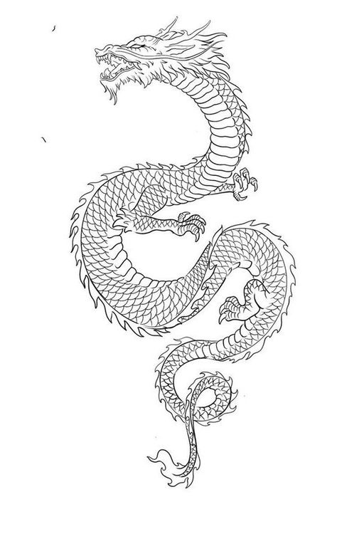 Dragon Tattoo Outline, Dragon Tattoo Stencil, Dragon Tattoo Drawing, Dragon Tattoo Arm, Dragon Tattoo Sketch, Red Dragon Tattoo, Dragon Tattoo Art, Chinese Dragon Tattoos, Dragon Tattoo For Women