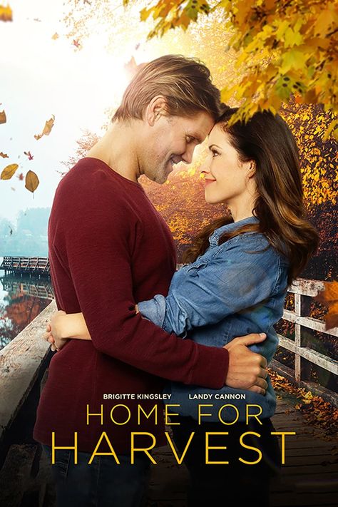 Autumn 2019-7 -- Home For Harvest (2019) Best Fall Movies, Fall Movies, The Fall Movie, Hallmark Movie, Lifetime Movies, Hallmark Christmas Movies, She Left, Movies 2019, Hallmark Movies