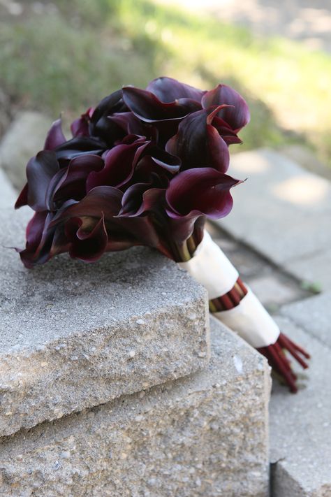 All dark purple calla lily bouquet Purple Calla Lily Bouquet, Calla Lily Wedding Bouquet, Fall Wedding Colors October, Lily Wedding Bouquet, Purple Calla Lily, Purple Calla Lilies, Midnight Purple, Calla Lily Wedding, Calla Lily Bouquet