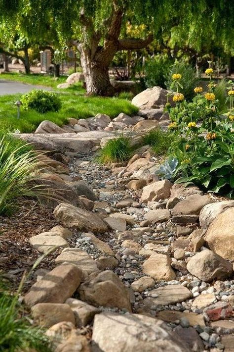 Front Yard Rock Garden, Dry Riverbed Landscaping, Dry River, River Rock Landscaping, Rock Garden Design, Grasses Landscaping, Landscaping With Large Rocks, Rock Garden Landscaping, Stone Garden