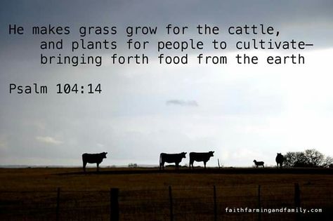 He makes grass grow for the cattle, and plants for people to cultivate -- bringing forth food from the earth. ~` Psalm 104:14 <3 Ag Quote, Agriculture Quotes, Farm Life Quotes, Farm Quotes, Cowboy Quotes, Country Quotes, Big Dreams, Family Farm, The Ranch