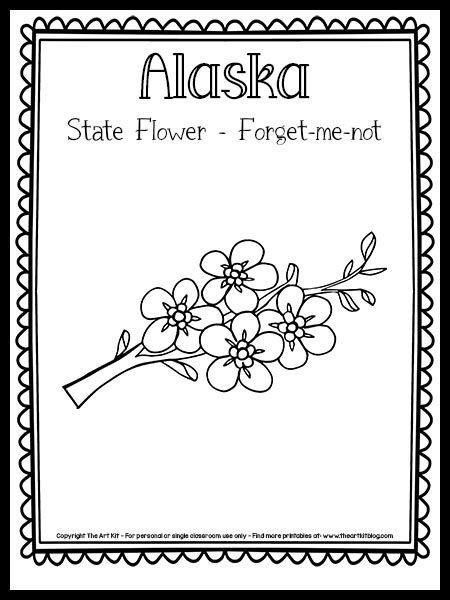 Alaska State Flower Coloring Page, Forget-me-not {FREE Printable!} - The Art Kit Alaska State Flower Tattoo, Alaska Coloring Pages, Alaska State Flower, State Project, Alaskan Art, Flower Stencils, State Flowers, Alaska Art, The 50 States