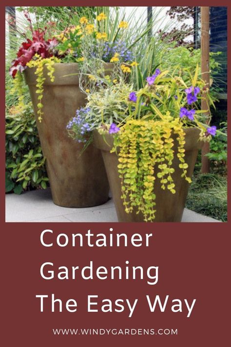 Container gardening is an easy way to design a garden without putting plants in the ground. Use your imagination, get some pots, and make the garden your own. Indoor Gardening Supplies, Design A Garden, Planting Fruit Trees, Container Garden Ideas, Plants In Pots, Use Your Imagination, Garden Layout Vegetable, Container Garden Design, Fall Vegetables