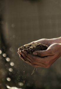 A soil sifter box allows you to sift through your garden soil, removing rocks, clay and/or dead plant matter that can then be added to your compost. Best Grass Seed, Farm Images, Farm Pictures, Hardscape Design, Bokeh Photography, Earth Pictures, Garden Pictures, Free Plants, Natural Garden