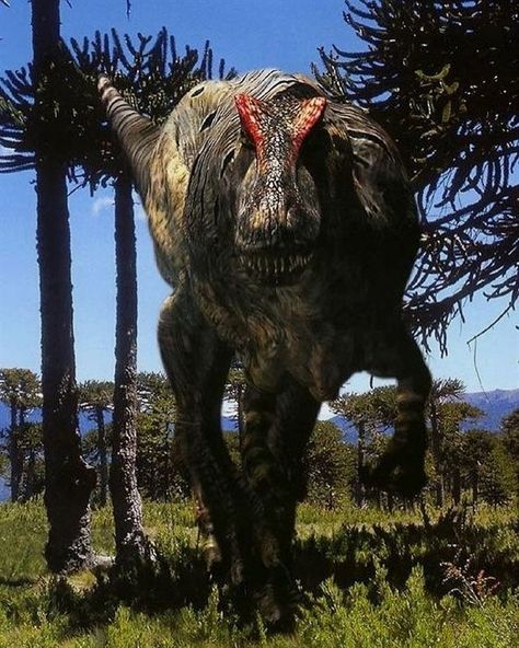 Prehistoric Monsters, Walking With Dinosaurs, Dinosaur Era, Cool Dinosaurs, Prehistoric Wildlife, Dinosaur Pictures, Prehistoric World, Jurassic World Dinosaurs, Ancient Animals