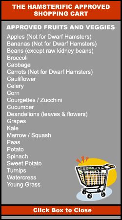 These are foods that hamsters can eat. Make sure not to overfeed though, it might be unhealty. Food Hamsters Can Eat, What Hamsters Can Eat, What Do Hamsters Eat, Hamster Food Recipes, Hamster Food Ideas, Hamster Care Tips, Diy Hamster Stuff, Diy Hamster Food, Hamster Facts