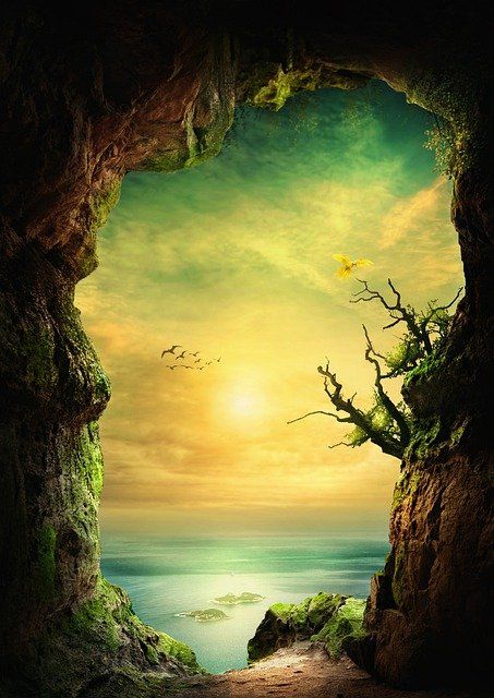 Photo Background Images Hd, Address Book, Background Images Hd, Photo Background Images, Poster Background Design, Editing Background, Nature Backgrounds, Art Background, Photo Backgrounds