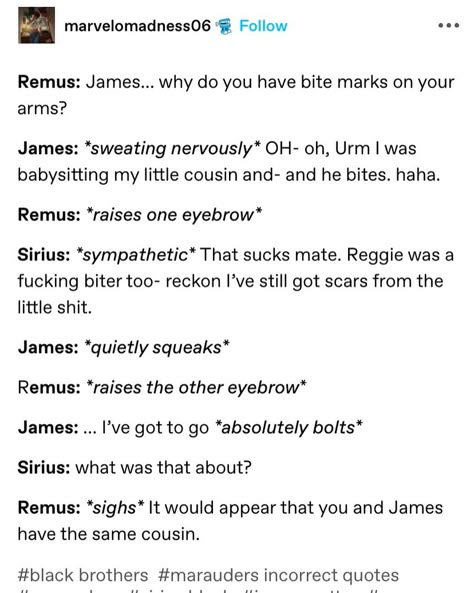 Spicy Jegulus, Jegulus Spicy, James And Regulus, Jegulus Fanfic, Jegulus Aesthetic, Jegulus Headcanons, James X Regulus, Marauders Fan Art, Gay Harry Potter