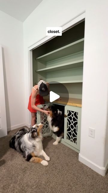 Morgan Renfro on Instagram: "I built our dogs kennels right into our guest bedroom closet 🔨🐾 today I added the doors!! After 3 and a half attempts I finally got them functional and safe - no pokey wires exposed!! I should probably take a cabinet making course. I do a ton of trial and error around here and let me tell you.. there’s a lot of error. But the crates are done and I think they look great, and the dogs approve! I need to get their beds back in, organize the shelves, and we will be totally done! #builtin #dogfurniture #kennelfurniture #dogkenneldiy #diy #dogmom #custombuiltin #hiddendogcrate #doityourself" Guest Bedroom Closet, Built In Dog Bed, Under Stairs Dog House, Dog Cabinet, Dog Kennel Outside, Dog Closet, Dog Bedroom, Diy Dog Crate, Dog Kennel Furniture