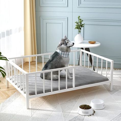 Amazon.com : OSCHF Dog Bed with Rails - Elevated Pet Metal Bed Frame with Solid Wood Board and Washable Soft Mat for Large Dog Indoor or Outdoor Use, 31.1" x 47.6", White : Pet Supplies Dog Bed Frame, Big Dog Beds, Elevated Dog Bed, Dog Rooms, Solid Wood Bed, Bed Rails, Metal Bed, Metal Pipe, Metal Bed Frame