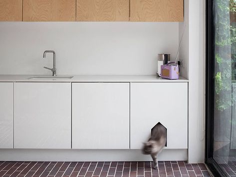 The struggle is real when living with a litter box – whether you’re renting, living in a share house or own a one-bedroom apartment with no laundry.  To ease the burden, we’ve compiled a list of the most creative and stylish ways to conceal your ugly and sometimes smelly litter box to make for a more beautiful home and give that kitty the privacy it deserves. Kitty Litter hidden in cupboard Katt Diy, Hidden Litter Boxes, House Tweaking, Litter Box Covers, Cat Flap, Ikea Wardrobe, London Kitchen, Cat Playground, Litter Tray