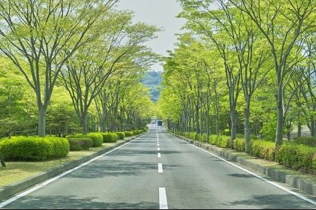 Streetscape Design, Urban Housing, City Layout, Street Trees, City Block, Washington Street, Bridge Design, Street Design, Environmental Issues