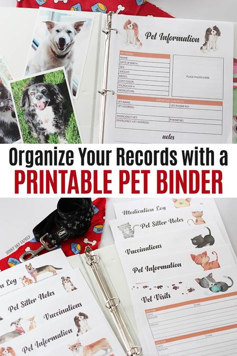 Pet Binder, Pet Health Record, Pet Planner, Pet Information, Medication Log, Pet Organization, Cat Care Tips, Dog Care Tips, Dog Daycare