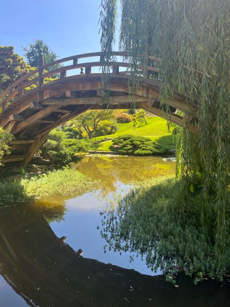 #garden #gardens #pond #peaceful #willowtree #koifish #bridge #green #nature #water #serenity #summer #aesthetic Ideas For Your Sketchbook, Pond Bridge, Pond Wedding, Sketchbook Aesthetic, Online Quiz, Nature Water, Garden Pond, Sketchbook Ideas, Increase Sales