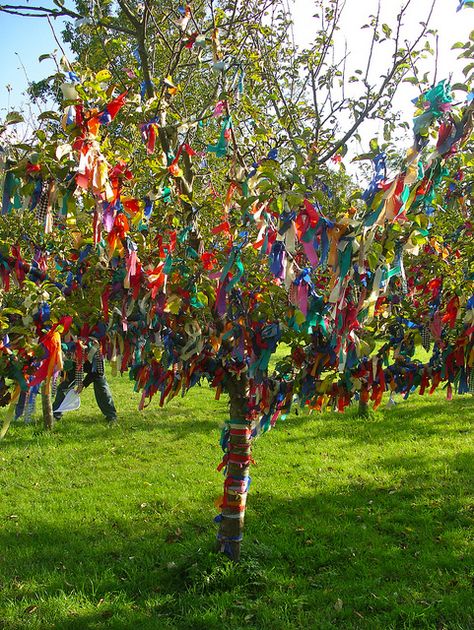 Wishing Tree at Nunnington Hall by nice icing, via Flickr Creative Easter Eggs, Houses Of The Holy, Wishing Tree, Sacred Tree, The Easter Bunny, Garden Accents, Colorful Trees, Beltane, Easter Egg Decorating