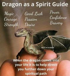 Your Weekend Spirit Guide for March 25th is The Dragon | Witches Of The Craft® Animal Totem Spirit Guides, Spirit Animal Meaning, Dragon Energy, Animal Meanings, Types Of Dragons, Animal Spirit Guides, Animal Guides, Fairy Dragon, Power Animal