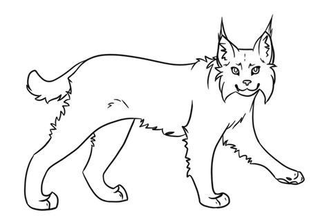 Bobcat Drawing, Jungle Drawing, Wooden Spoon Carving, Best Coloring Pages, Owl Coloring Pages, Snowshoes, Thick Coat, Cat Sketch, Printable Animals