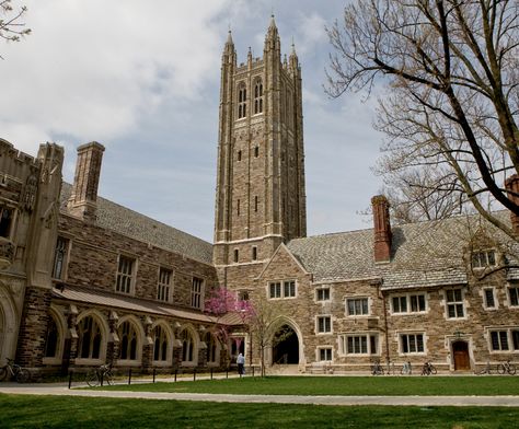 Gray stone buildings like the University Chapel and Cleveland Tower are pure Collegiate Gothic splendor in Princeton. Princeton Library, University List, Ivy League Schools, Importance Of Time Management, Harvard Law School, Dream College, Online University, Princeton University, American Universities