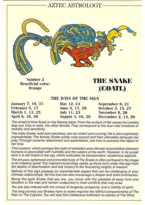 Aztec Astrology - Coatl (the Snake) Aztec Astrology Signs, Aztec Astrology, African Astrology, Egyptian Astrology, Mayan Astrology, Aztec Symbols, Indian Astrology, Aztec Culture, Aztec Tattoo