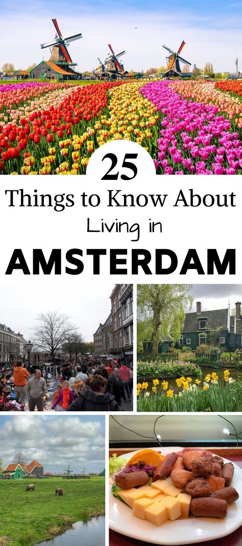 Moving To Netherlands, Moving To Amsterdam, Living In The Netherlands, Amsterdam 2022, Travel Netherlands, Living In Amsterdam, Moving Abroad, Amsterdam Holland, Travel Inspiration Destinations