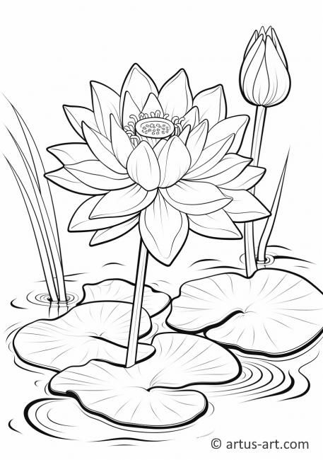 Lotus Flower in a Pond Coloring Page » Free Download » Artus Art Pond Drawing, Odyssey Art, Coloring Patterns, Pirate Coloring Pages, Insect Coloring Pages, Coloring Pages Nature, Farm Coloring Pages, Printable Flower Coloring Pages, Garden Coloring Pages