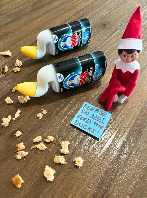 Quick Elf on the Shelf Ideas Easy Elf On Shelf Ideas, Elf On The Shelf Activities, Elf On The Shelf Printables, Easy Elf On The Shelf, Easy Elf, Awesome Elf On The Shelf Ideas, Elf On Shelf Ideas, Elf Cosmetics, Elf Makeup