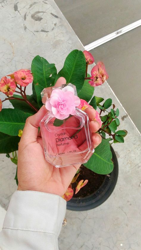 Cute parfume from #miniso, it's so refreshing, just fall in love in this cute packaging with transparent glass, i got free flowers on top #pinkparfume #pink #cute #lovelystuff Miniso Perfume, Perfume Aesthetic, Purse Essentials, Cute Packaging, Fall In Love, In Love, Victoria's Secret, Purse, Packaging