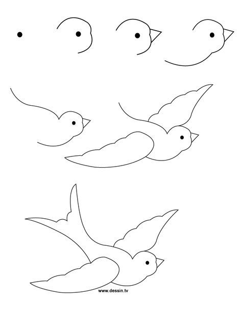 (2013-11) ... a swallow Flying Bird Drawing Simple, How To Draw A Bird Flying, Swallow Drawing Simple, How To Draw A Bird Easy, How To Draw A Bird Step By Step, How To Draw Birds Easy, Swallow Bird Drawing, How To Draw A Bird, Drawing Birds Easy