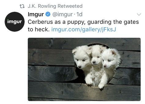 Cerberus as a puppy, guarding the gates of heck Funny Animal Memes, Wholesome Memes, Dog Memes, Best Funny Pictures, Greek Mythology, Animal Memes, Cat Memes, Baby Animals, Dogs And Puppies