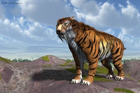 Sabertooth Tiger (Smilodon Fatalis) by nDelphi Sabre Tooth Tiger, Saber Tooth Tiger, Cave Images, Sabertooth Tiger, Save The Tiger, Tiger Tooth, Tiger Images, Giant Animals, Tiger Gifts