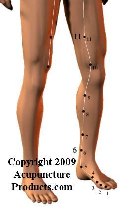 Acupuncture Spleen Meridian SP Spleen Meridian, Meridian Acupuncture, Rectus Abdominis Muscle, Gastrocnemius Muscle, Meridian Points, Healing Codes, Acupuncture Points, Reflexology, Beauty Spa