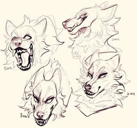 Wolf Sketch, Canine Drawing, Werewolf Art, Canine Art, Wolf Drawing, Creature Drawings, Drawing Expressions, Animal Sketches, Art Poses