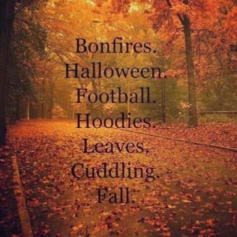 What a perfect #Fall day! Who's ready for some #Fall weather, #Football and #Hoodies? Fall Memes, First Day Of Autumn, Season Quotes, Autumn Scenes, Autumn Quotes, Fall Feels, Fall Is Here, Happy Fall Y'all, Fall Pictures