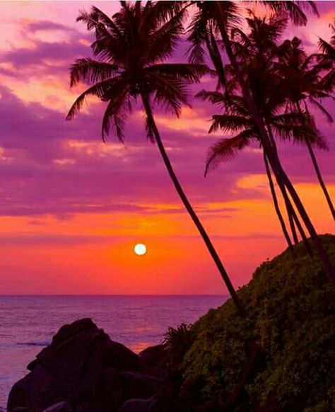 Sunset in Big island, Hawaii, USA Island Sunset Aesthetic, Hawaii Landscape Photography, Iphone Wallpaper Island, Hawaii Scenery, Lui Viton, Hawaii Wallpaper, Hawaii Landscape, Summer Beach Wallpaper, Ocean Landscape Painting