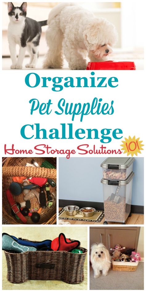 Step by step instructions for how to organize pet supplies, including pet food, treats, toys, paperwork and information and more for the animals who are part of our families and home {on Home Storage Solutions 101} #52WeekChallenge #OrganizedHome #PetSupplies Pet Organization, Pet Food Storage, Home Storage Solutions, Dog Food Storage, Dog Crafts, Stuffed Animal Storage, Pet Care Tips, Pet Hacks, How To Organize