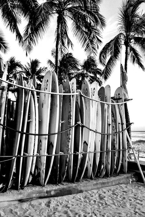 Surfboards in Hawaii Poster, Black and White, Vintage Print, Surfboard Wall Art, Beach House Decor, Beach Photography, Printable Wall Decor Surfing Wallpaper, Hawaii Poster, Surfboard Wall Art, Black And White Photo Wall, Black And White Beach, Surfboard Wall, Black And White Picture Wall, Poster Black And White, Black And White Vintage