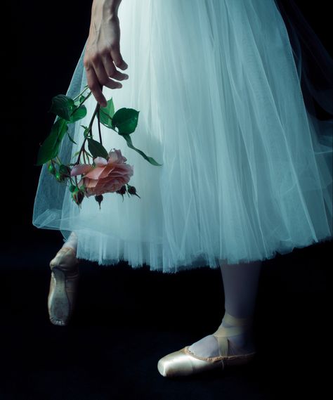 #ballet #balletdancer #aesthetic #pointe Ballet School Aesthetic, Royal Ballet School, Ballet School, Dance School, Royal Ballet, School Aesthetic, Winter Solstice, Ballet Dancers, Art Inspo