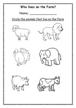 Animals Worksheet, Worksheets Kindergarten, Animal Worksheets, Worksheets For Kindergarten, Letter To Parents, Learn Music, Esl Worksheets, Home Learning, Toddler Learning