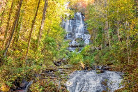 Amicola Falls, Georgia State Parks, Amicalola Falls, Animal Experiences, Picture Windows, Enjoy Nature, Adventure Tours, Birds Eye View, Birds Eye