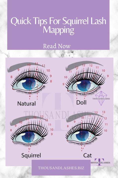 Mapping Eyelash Extensions, Applying Lash Extensions, Lash Mapping Eyelash Extensions, Upturned Eyes, Lash Mapping, Eyelash Tips, Eyelash Technician, Almond Eyes, Eyelash Extensions Styles