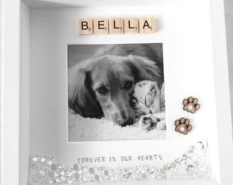 Pet Memorial Ideas Dogs, Dog Photo Frame, Dog Shadow Box, Pet Loss Dog, Pet Frame, Cat Loss, Dog Frames, Dog Loss, Forever In Our Hearts