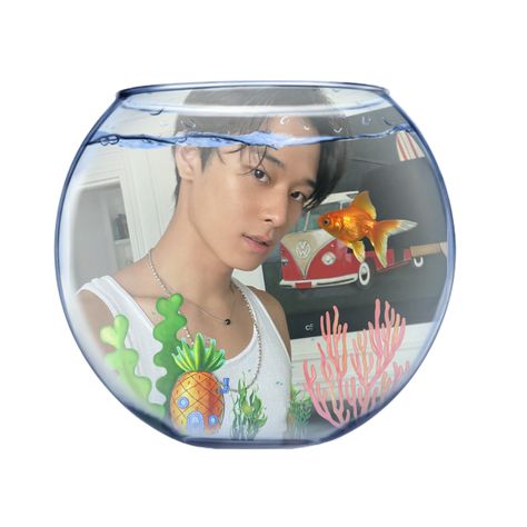 Duo Pfp, Pet Goldfish, Cd Design, Filters For Pictures, Fish Bowl, Phone Themes, Dear Diary, Goldfish, Crochet Bag